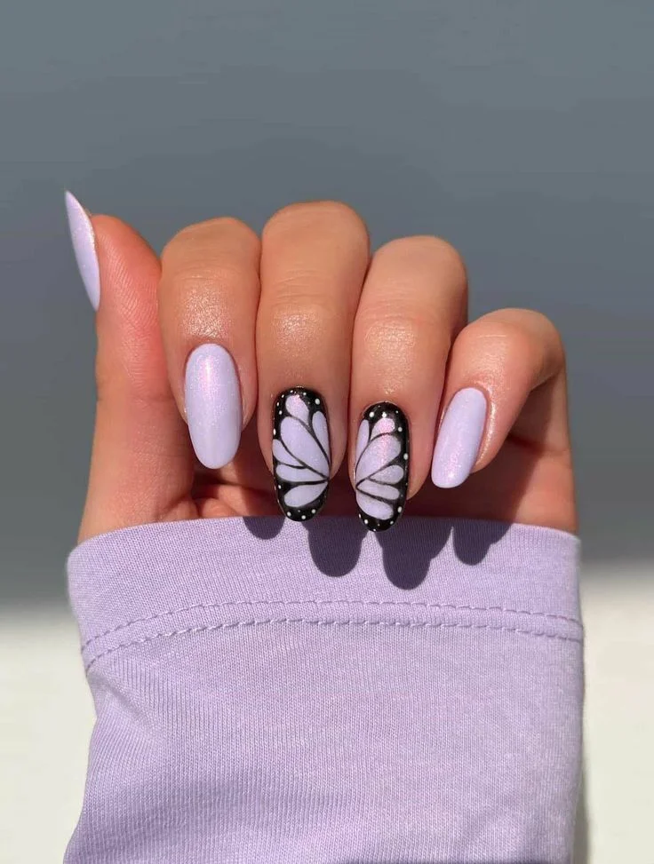Iridescent Butterfly Wings